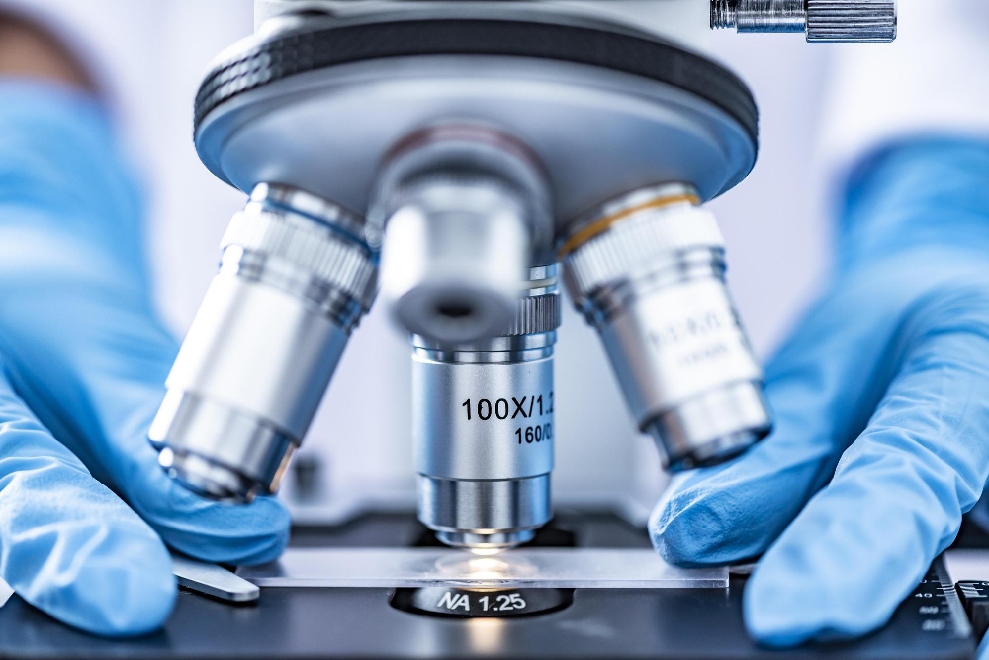 agar-60571.jpg